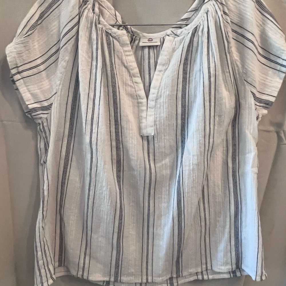 Ag Adriano Goldschmied Blue and White Short Sleeve Blouse